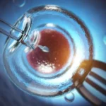 Fattori chiave per un impianto embrionale di successo